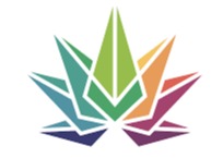 High Falls Canna | Purple Punch X | Indica | Flower
