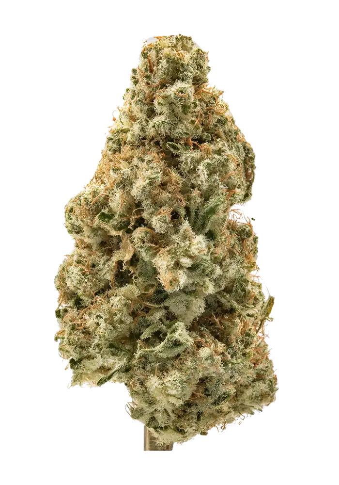 Scout & Seed Chem Butter A Bud Deli Flower