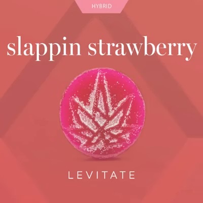 Levitate Slugger Slapping Strawberry 200mg