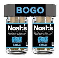 Froot: Noah S Bogo Blue Poison