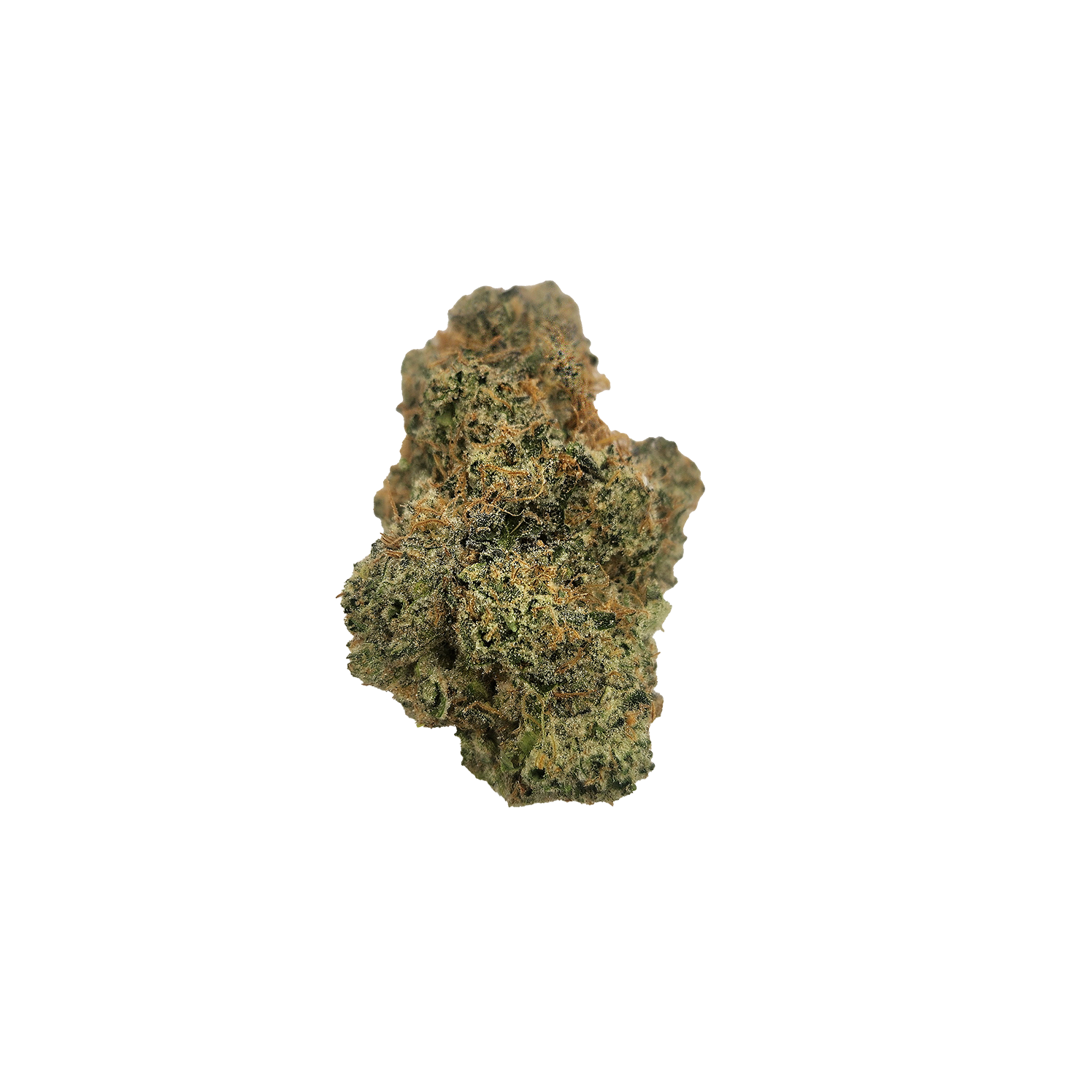 Grape Maple | The Hive Flower