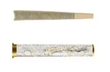 Blue Dream | 1g (Cone)