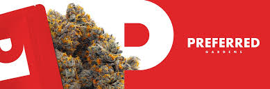 Preferred Gardens | Flower | TWIN | 3.5g
