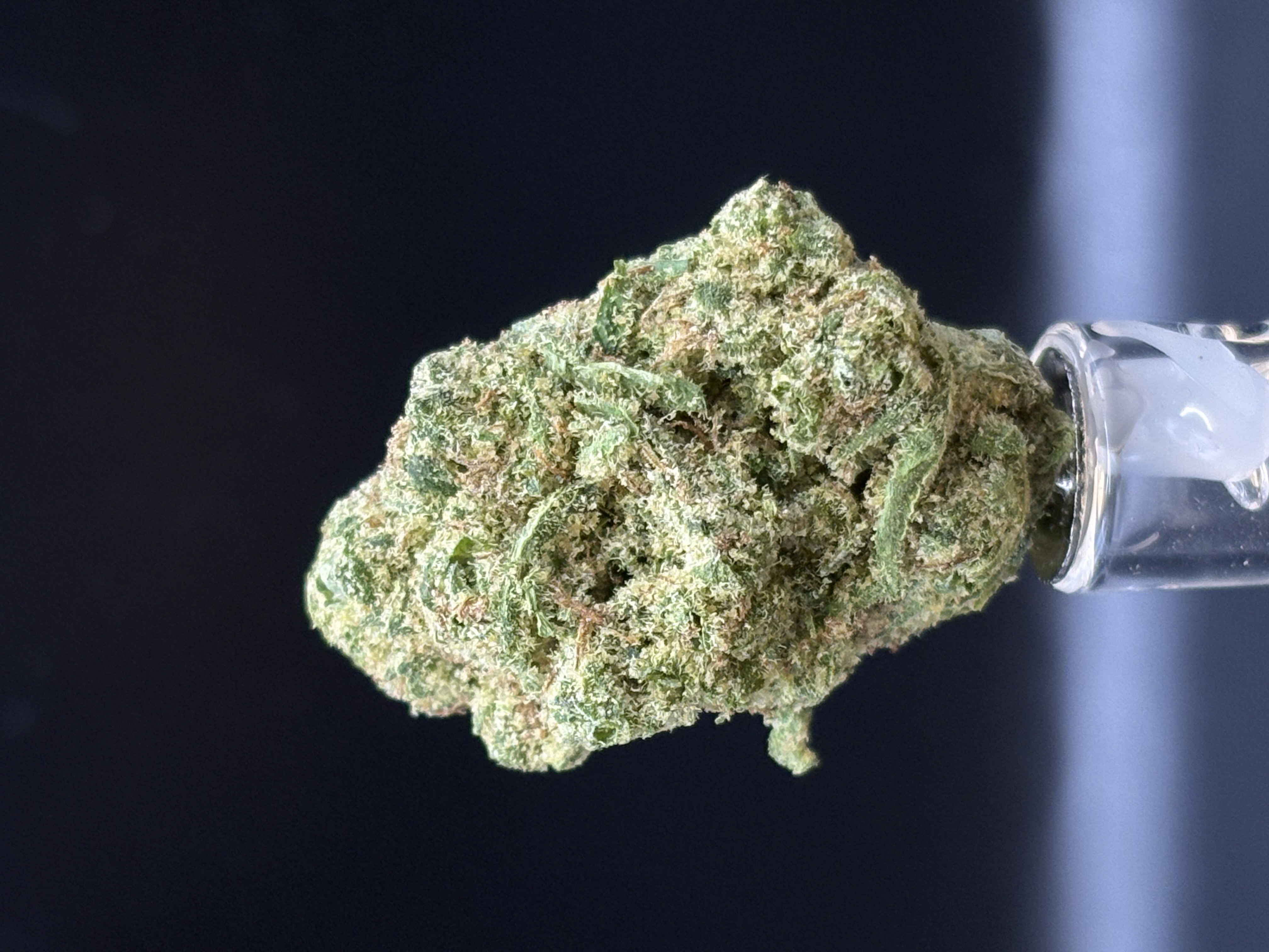 Platinum Deli Mac Dawg Honey Popz