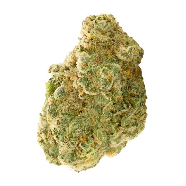 Spinach - West Coast Cookies Flower - Indica