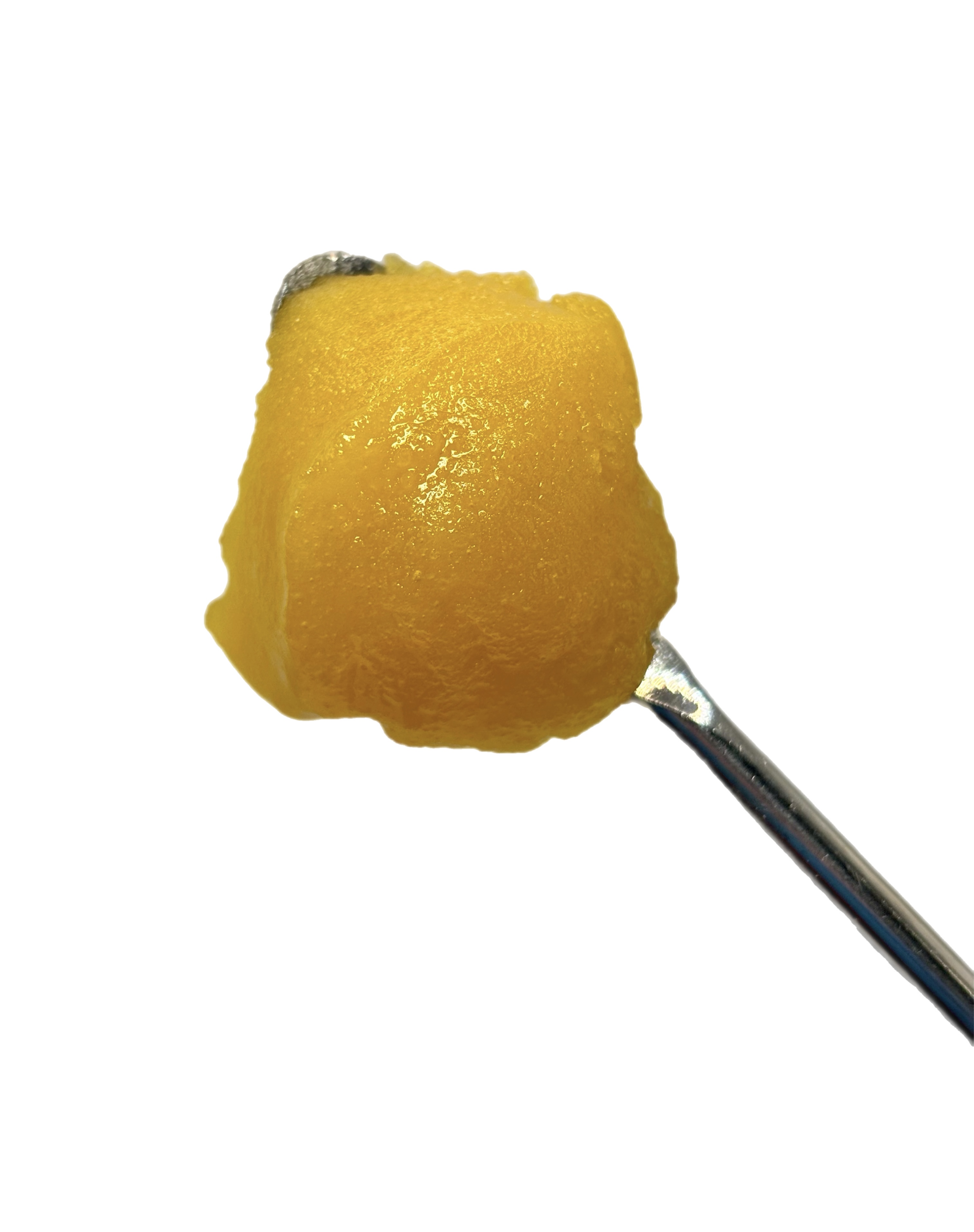 Progro Jelly Beltz Bulk Live