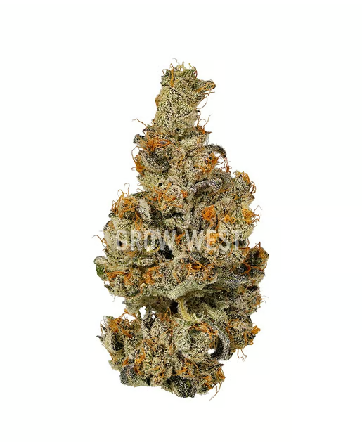 GROW WEST Lemondary 3.5g