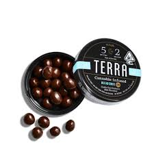 Terra Bites - Milk & Cookies CBN 5:2 - 100mg