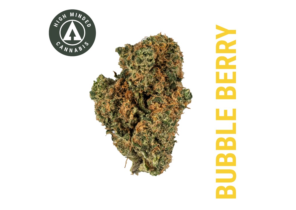 Gold Tier Tag - Bubble Berry