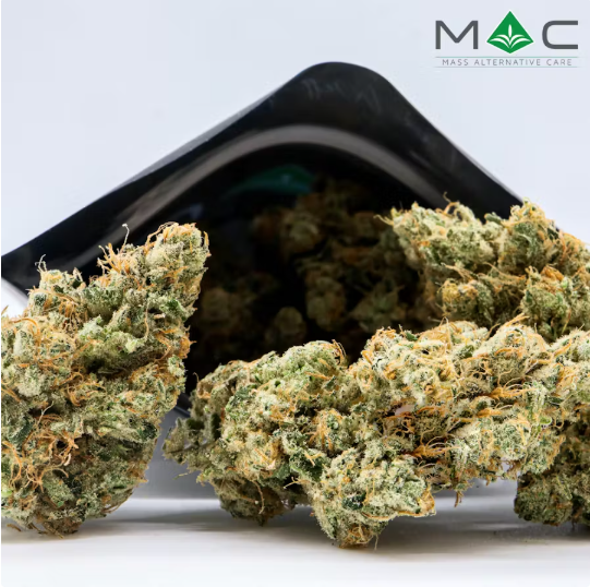 Hawaiian Dream | Flower | 14g