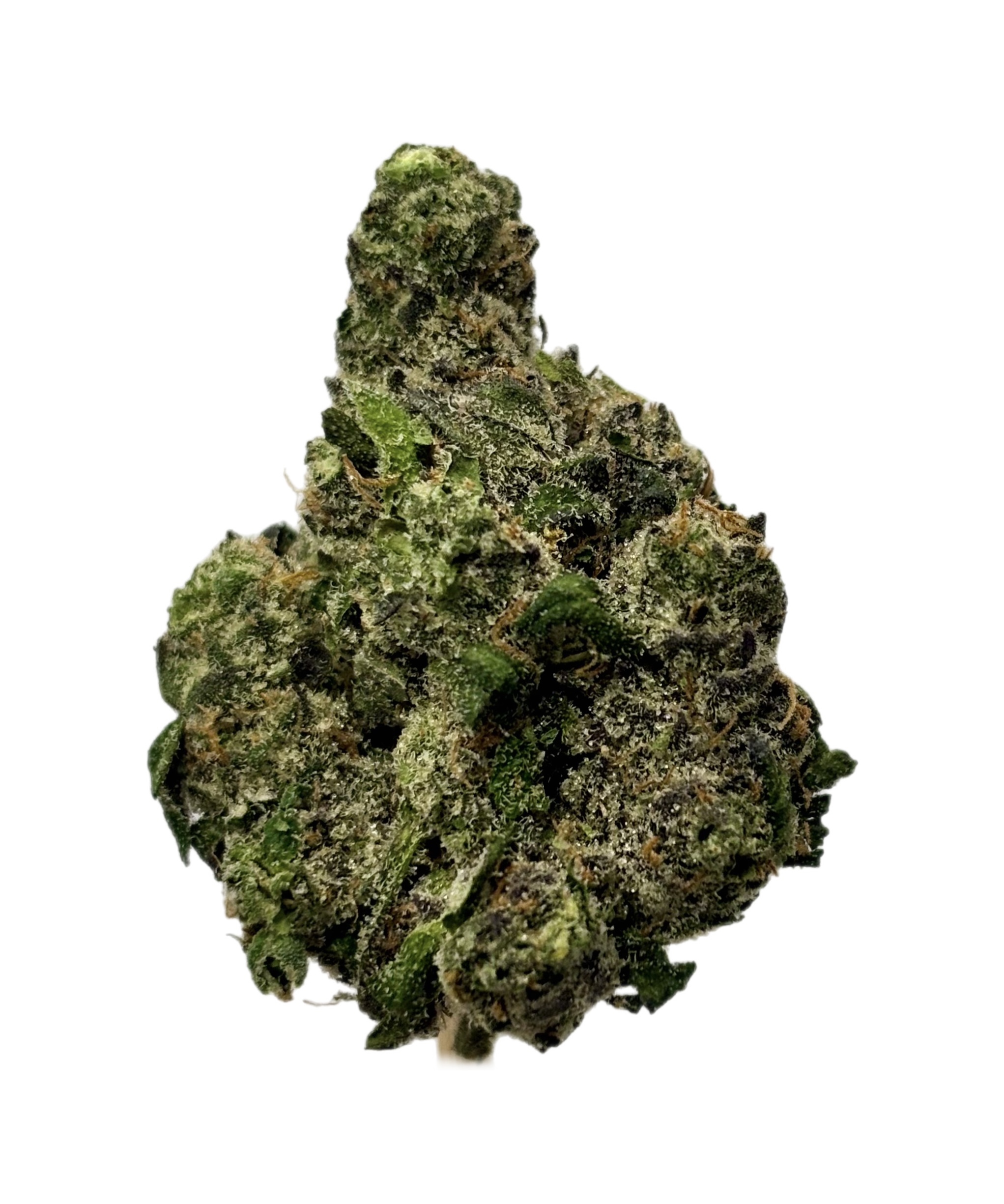 Northwoods | Runtz AF | Bulk Flower | Purple Tier
