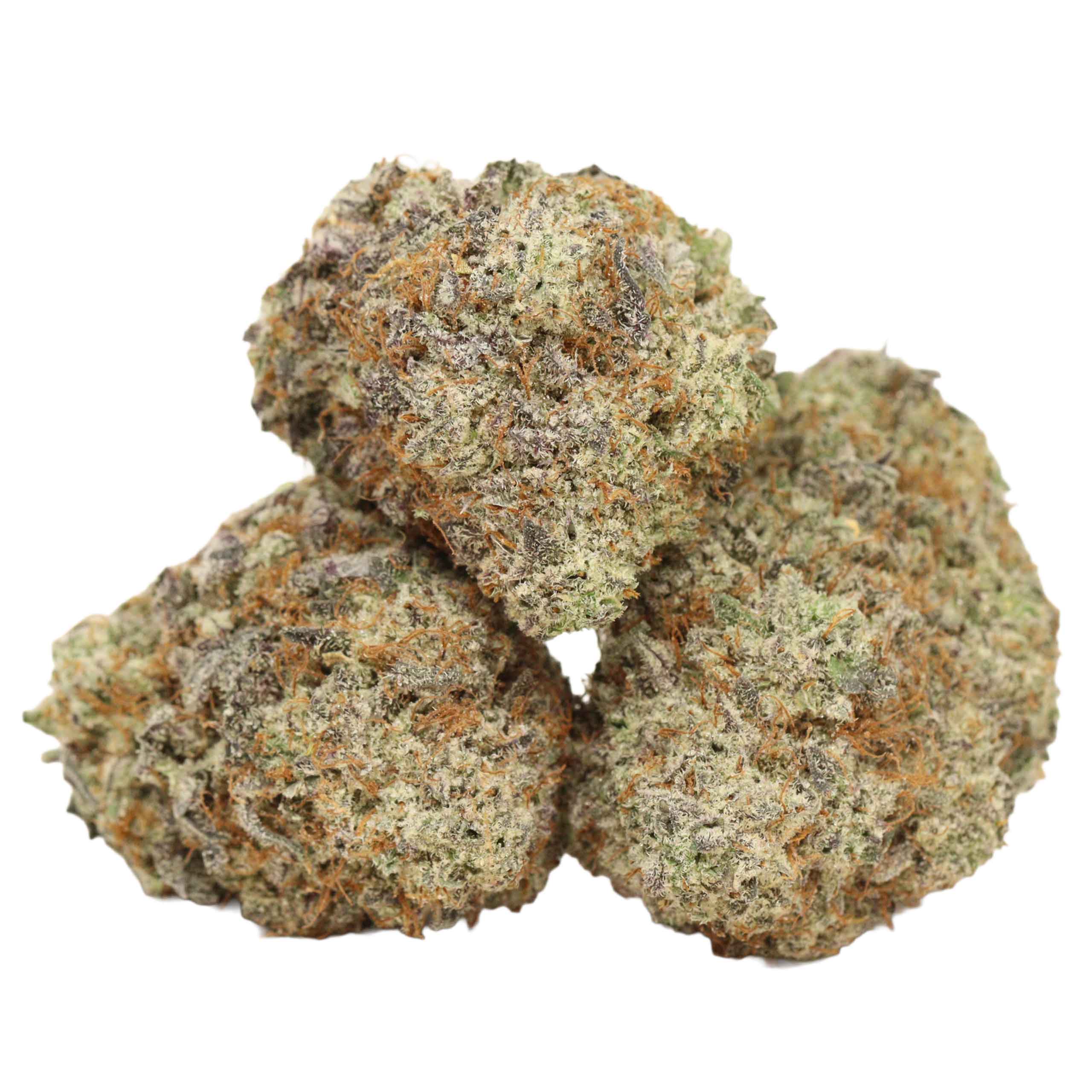 Altsol Dogwalker Bulk Flower