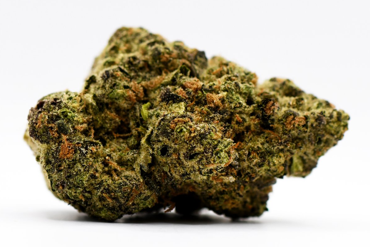 GMO (3.5G)-Platinum