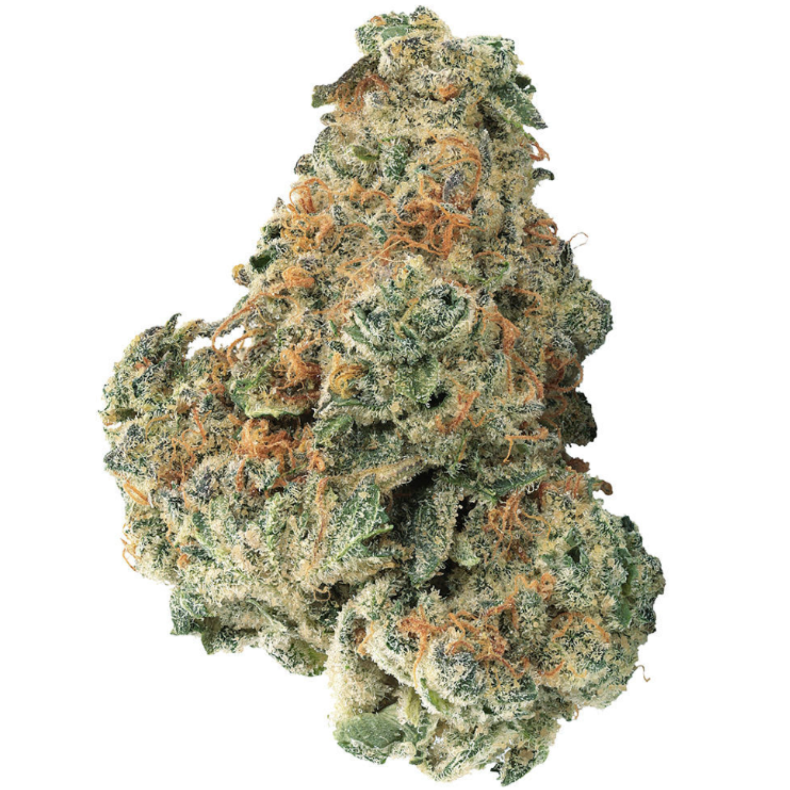 Gasberry Kush (Lemonpaya x Cherry Pie) | 28g