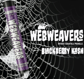 Webweavers | Blackberry Kush Liquid Diamond/Kief Tarantula