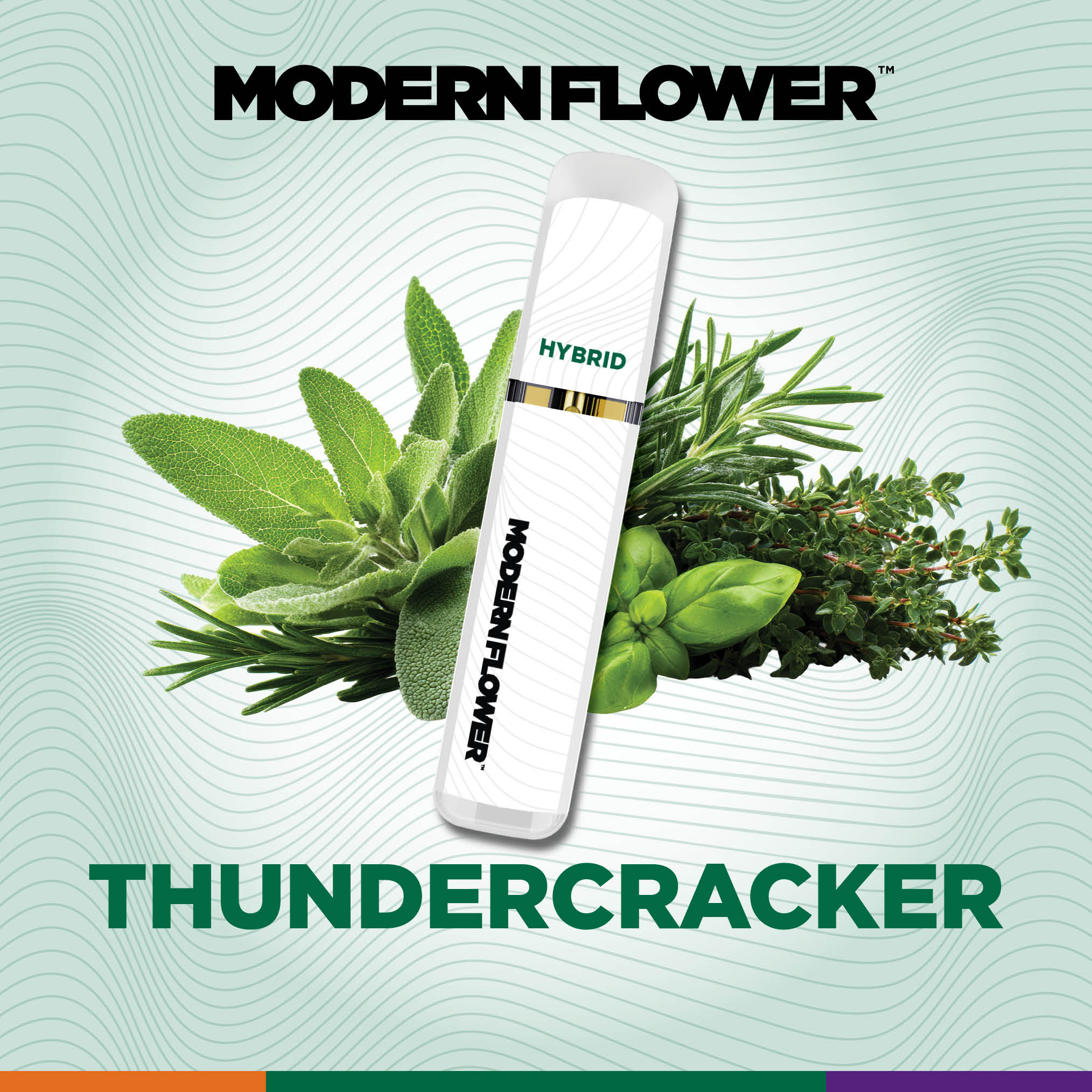 Thundercracker Live Sauce All In One 1g
