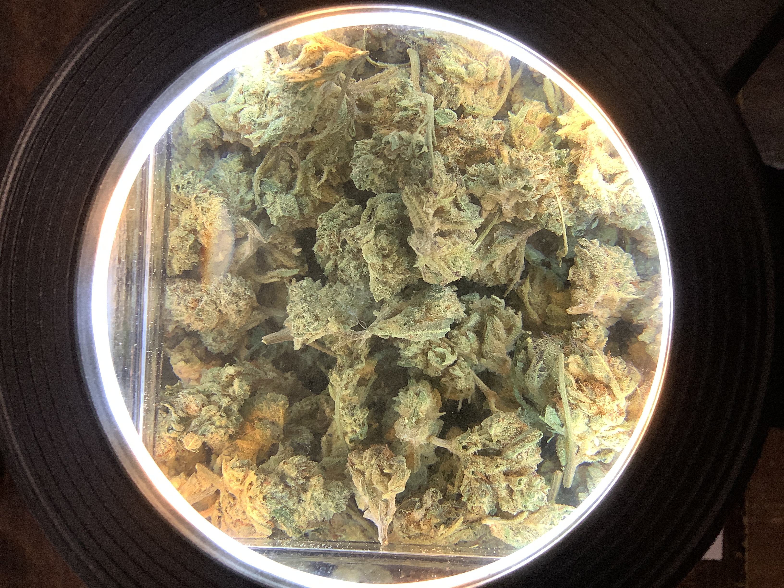 Millerville Farms | PANDA BREATH