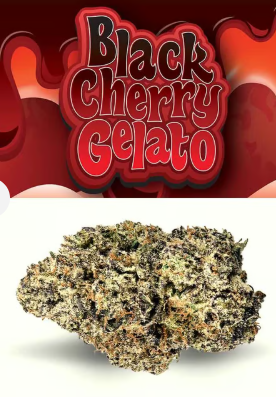 Black Cherry Gelato | Littles | 7g
