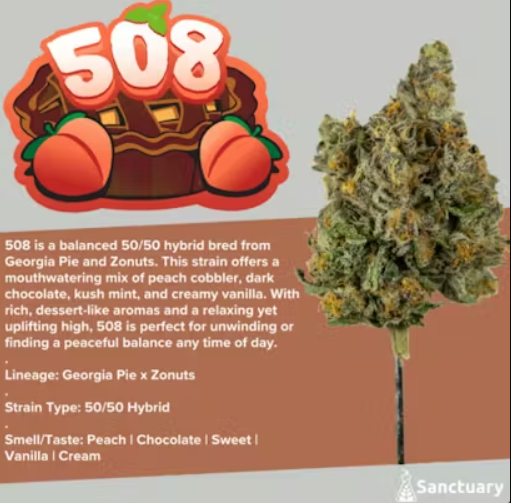 Sanctuary Medicinals - 508 - Flower - 3.5g - 3.5g in Swampscott