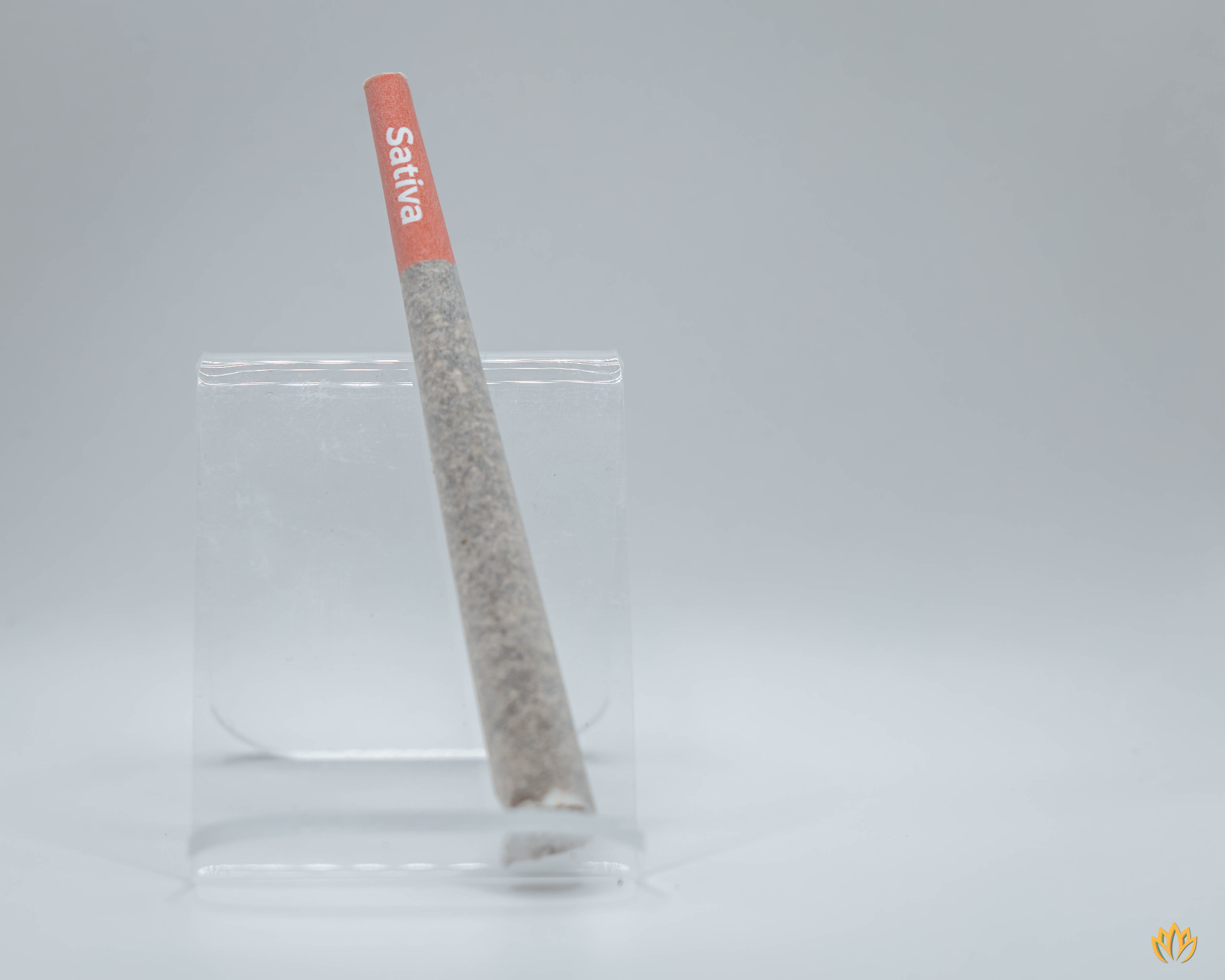 Bananaconda Pre-Roll