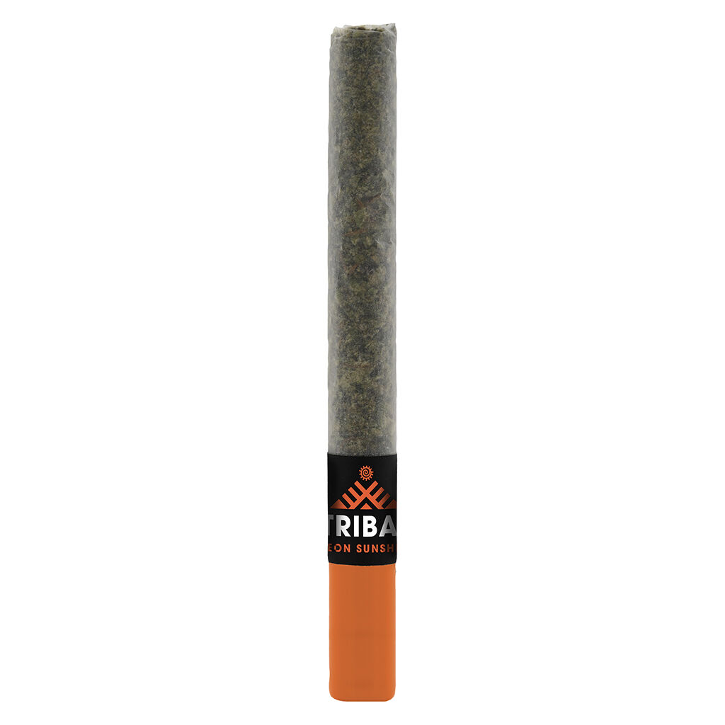 Tribal - Neon Sunshine Ceramic Tip Pre-Roll - 1x1g