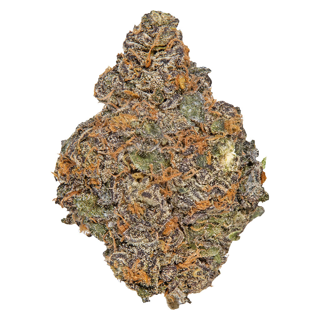 Potluck - Beaver Tail - Indica