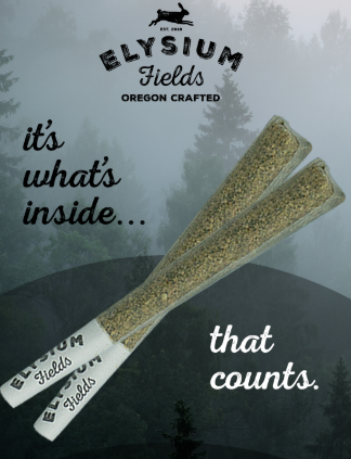 PAPAYA LAVA ROCKS Infused Preroll | 1.3g