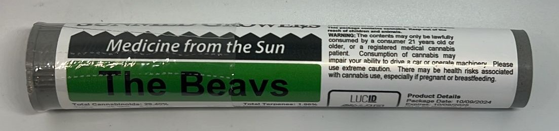 The Beavs