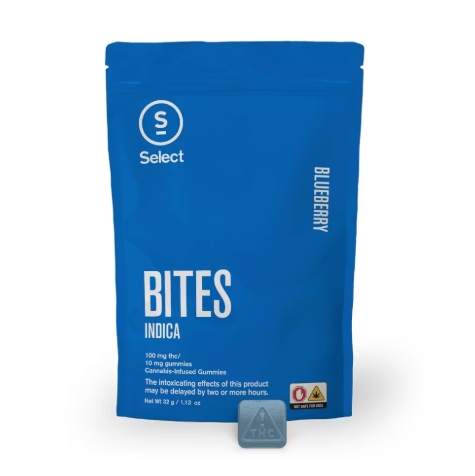 Blueberry Classic Bites 2.0 | 10 Pack