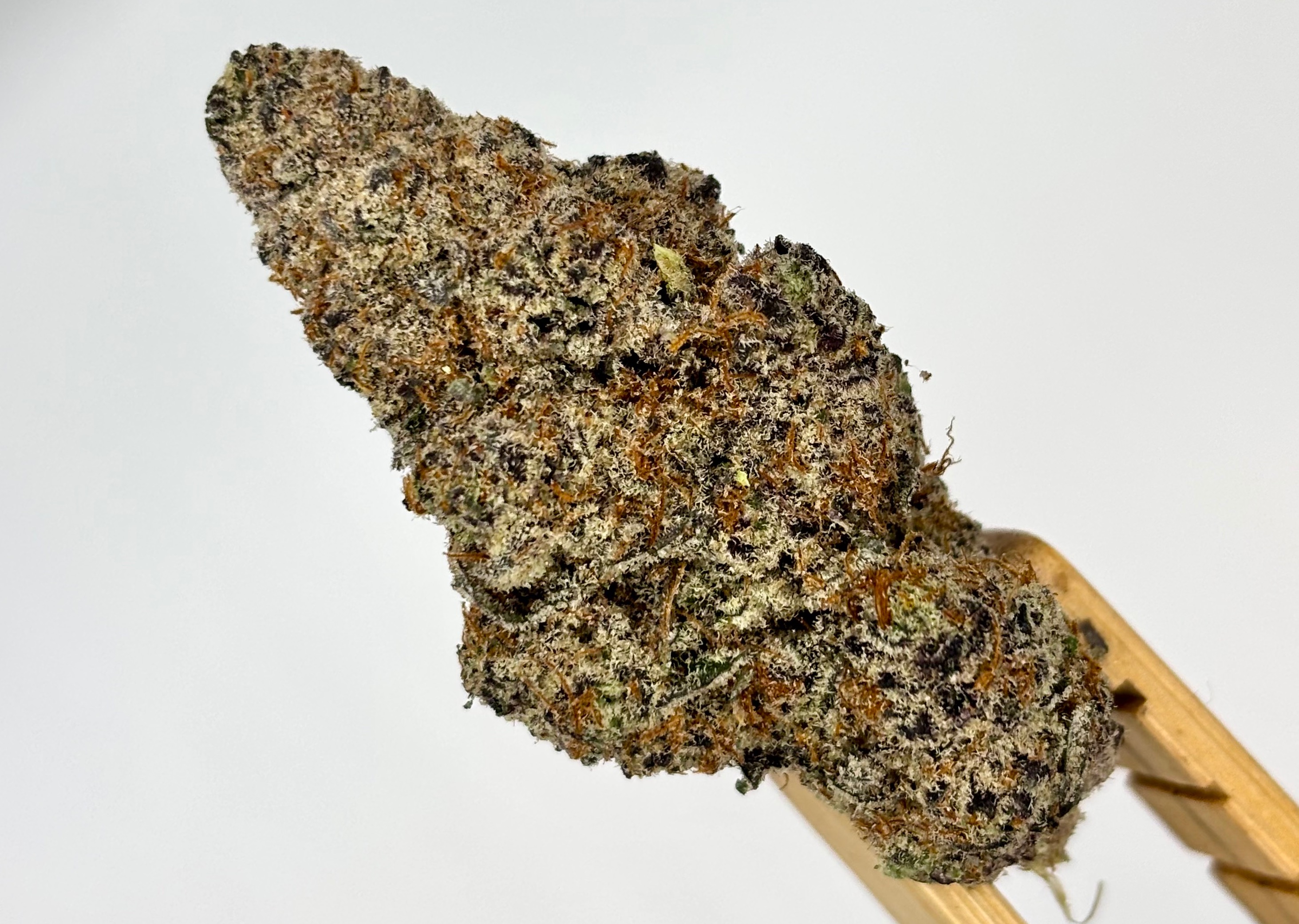 Glo | El Chivo | Bulk Flower | Platinum Tier