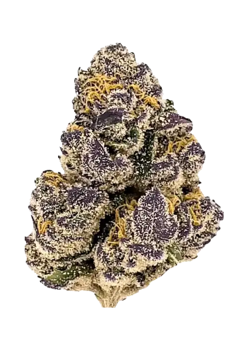 Black Amber Flower 3.