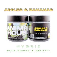 Animal House | Apples & Bananas | Mixed Light Flower | 3.5g by Animal House - flower cannabis product