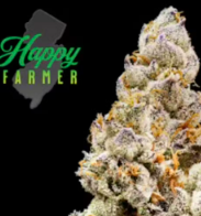 Happy Farmer | Girl Scout Cookies 3.