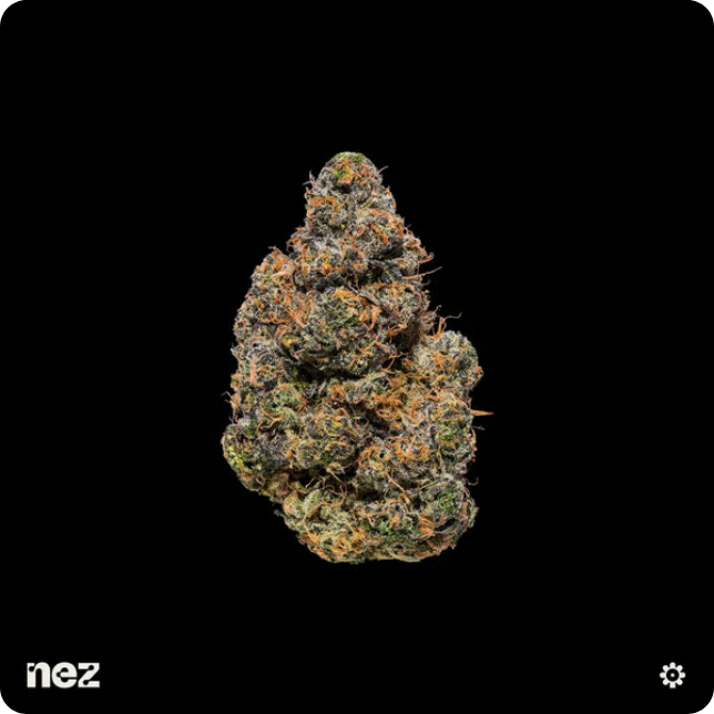 Maple #22 Indica Premium Flower