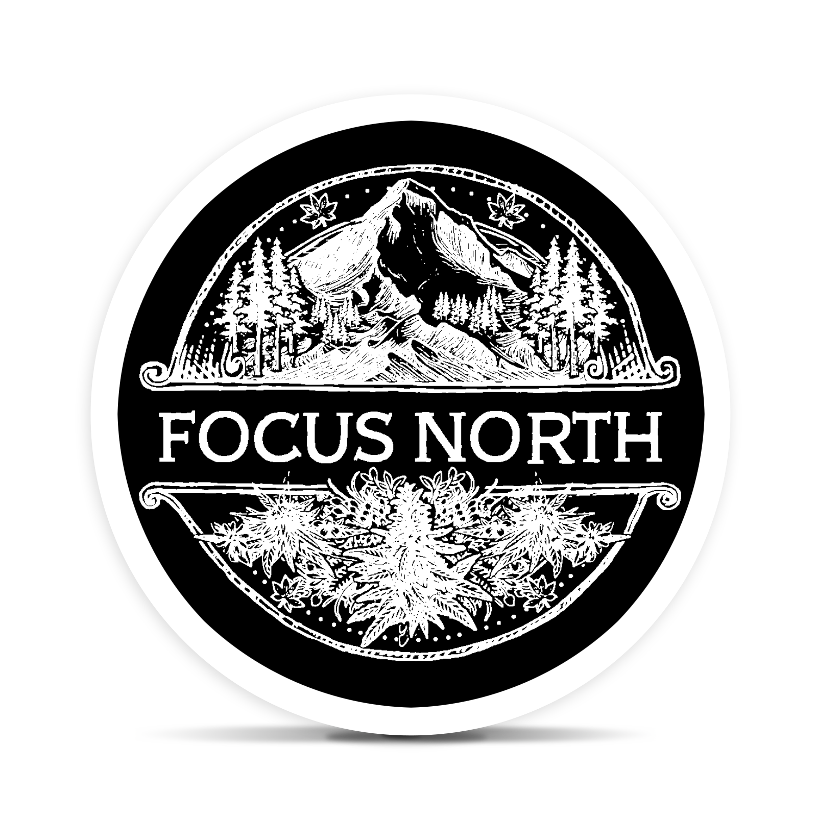 Focus North Gardens: Fear And Loathing