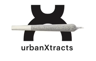 Glueberry Hash Infused Pre Roll