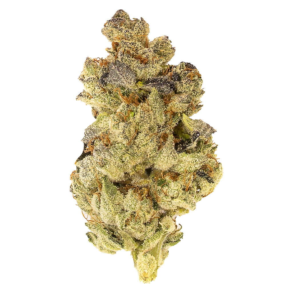 5 Points Cannabis - Mosa Orange Punch - Indica