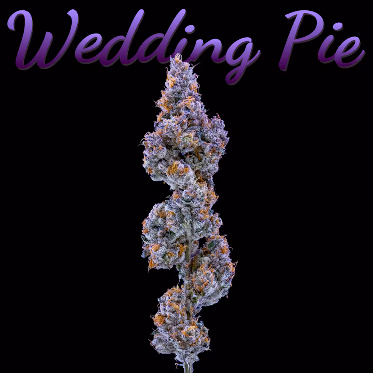 Wedding Pie | 3.5g