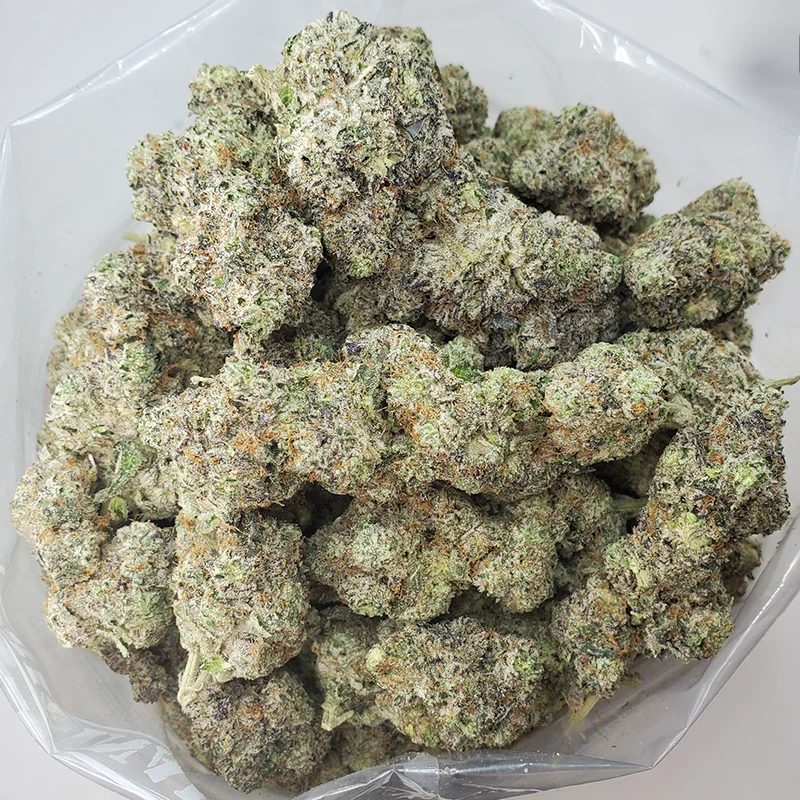 Blue Lobster | Bulk Flower