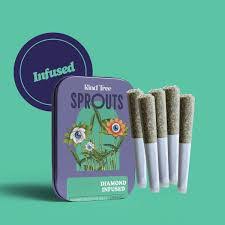 Pre-rolls | Pink Guava | Infused | Sativa - 5pk/1.75g