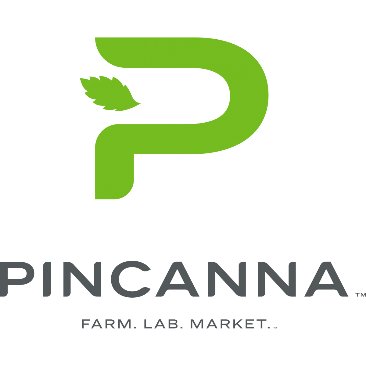 Diesel Poison #5 Shake/buds