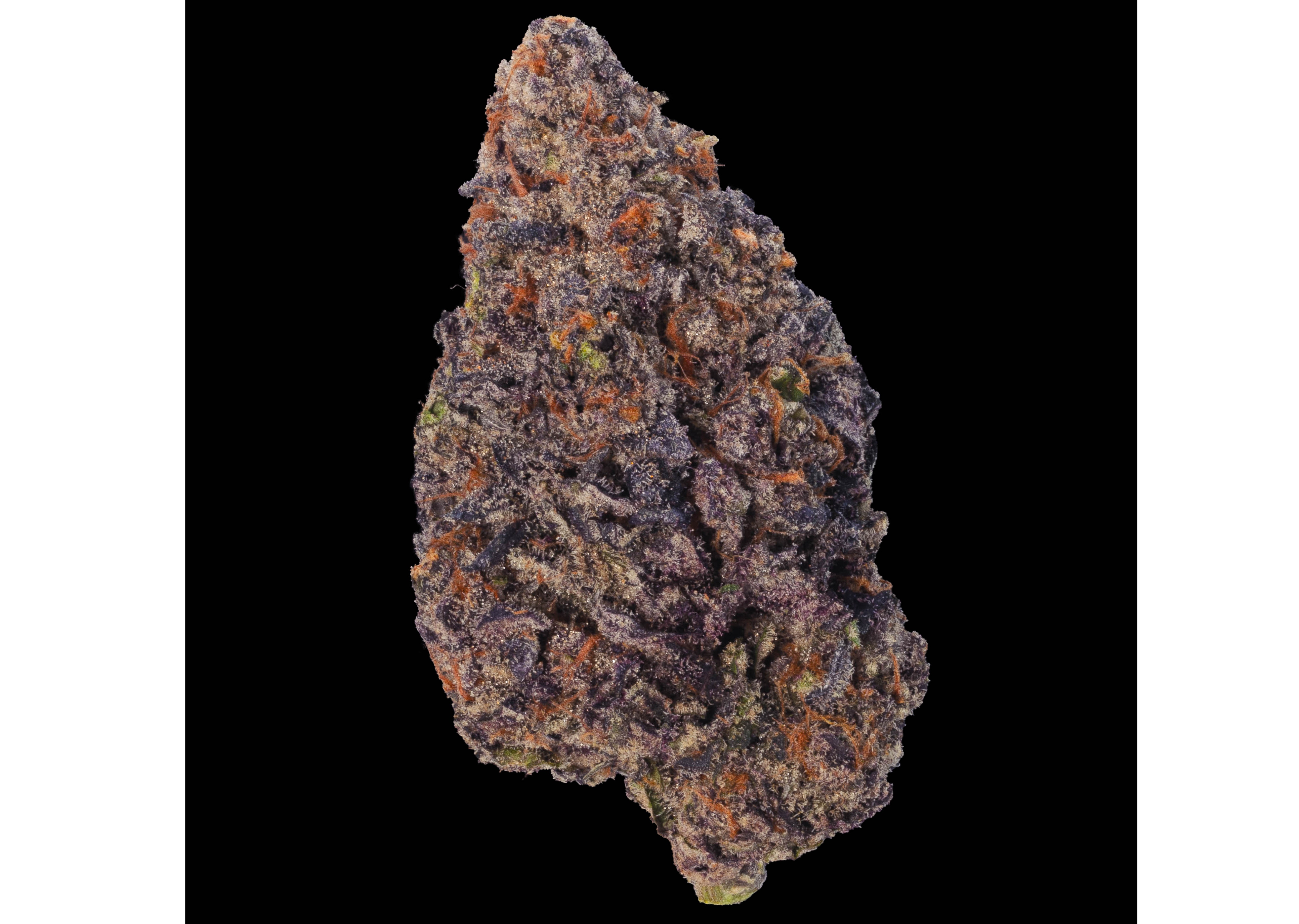 Flower Buttermilk Buscuit