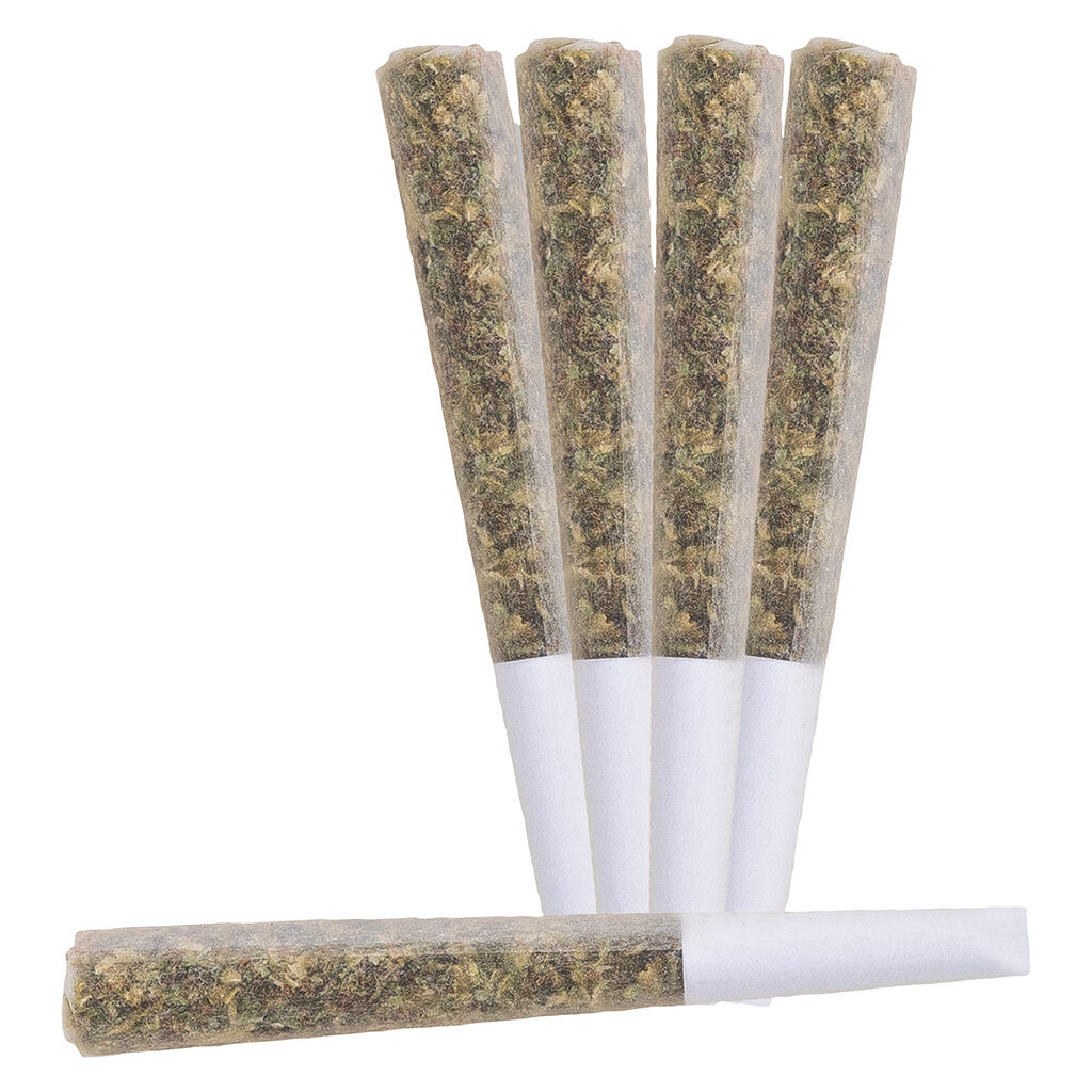 BLAST - Nova Live Rosin Infused Pre-Roll - 5x0.5g