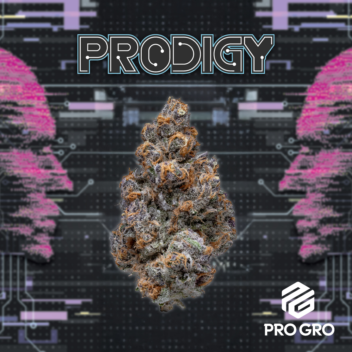 Prodigy Deli