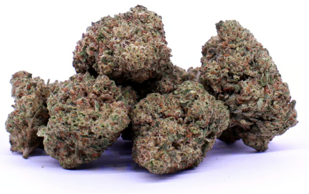 Flower | Pre-Packed | Bermuda Triangle | 28g | GRIP