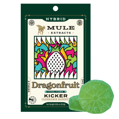 Mule Extracts: 100mg 1:1 THC/CBD Dragonfruit Gummy - 24.5g