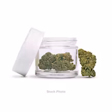 Cultivar Pink Certz - Pre-Packed