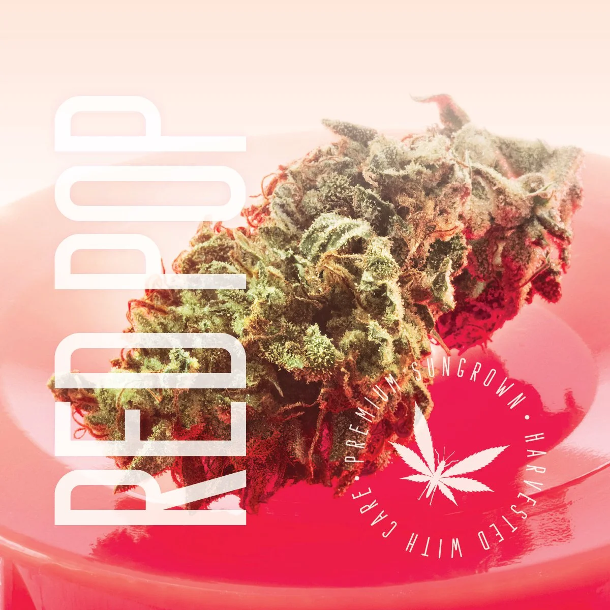 Red Pop | Indica | Bulk Flower | BRONZE