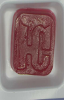 Green Hornet | 100mg | Trifecta 1:1:1 Gummies