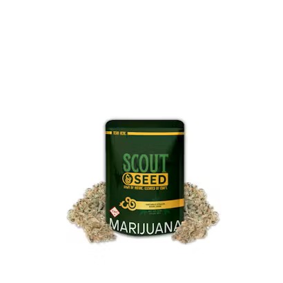 PRE-PACK FLOWER CAP JUNKY (H) 3.5G